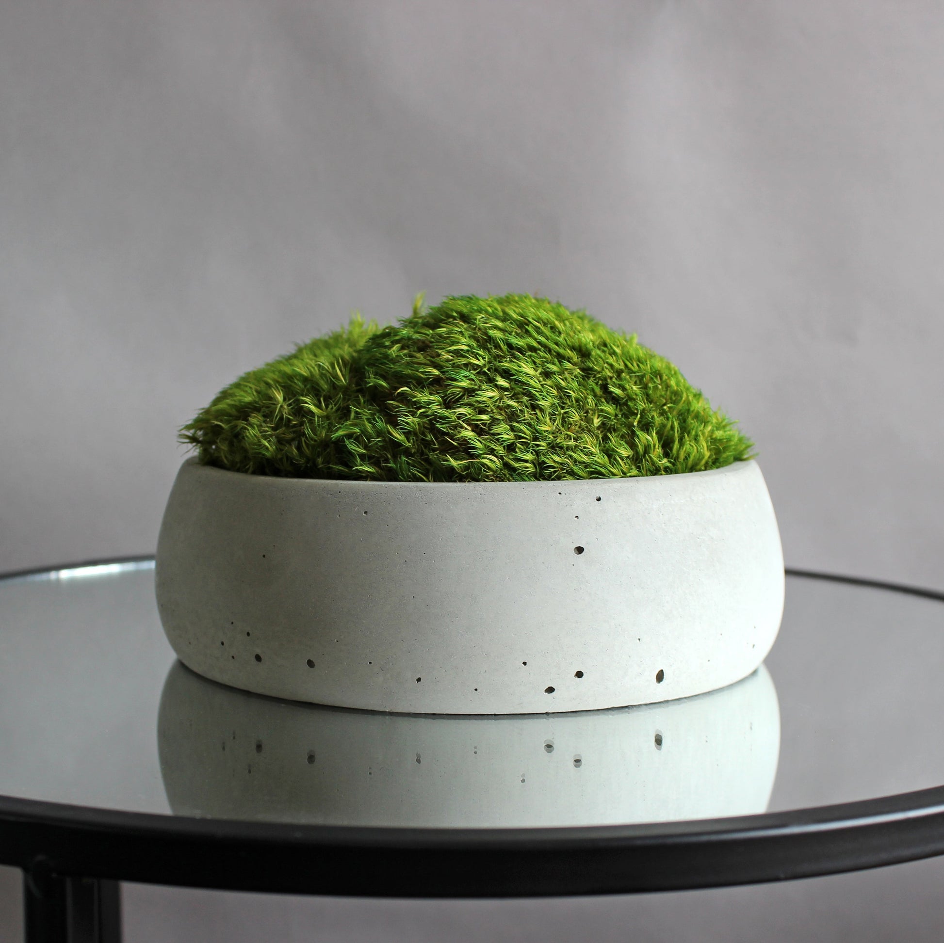 Preserved mood moss in a decorative concrete pot, natural indoor greenery decor for coffee tables, shelves and modern interiors.