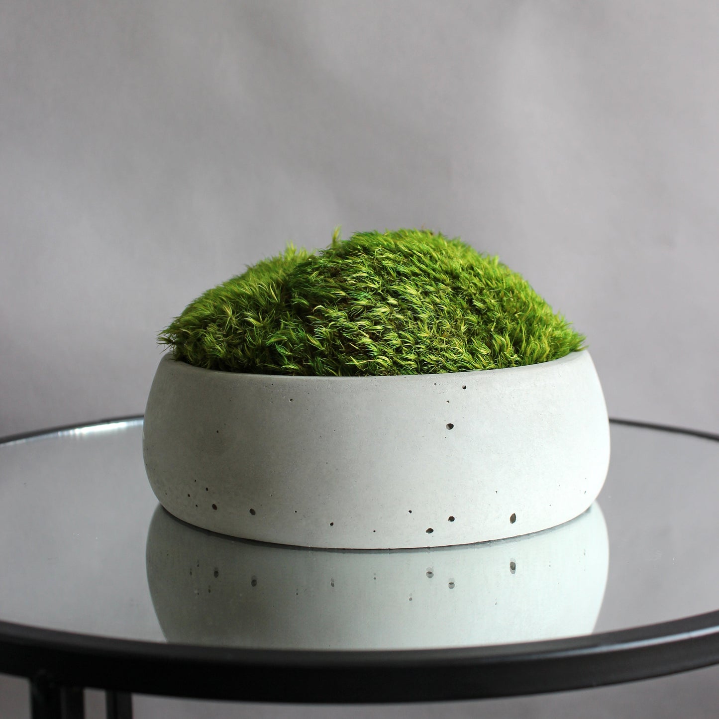 Preserved mood moss in a decorative concrete pot, natural indoor greenery decor for coffee tables, shelves and modern interiors.