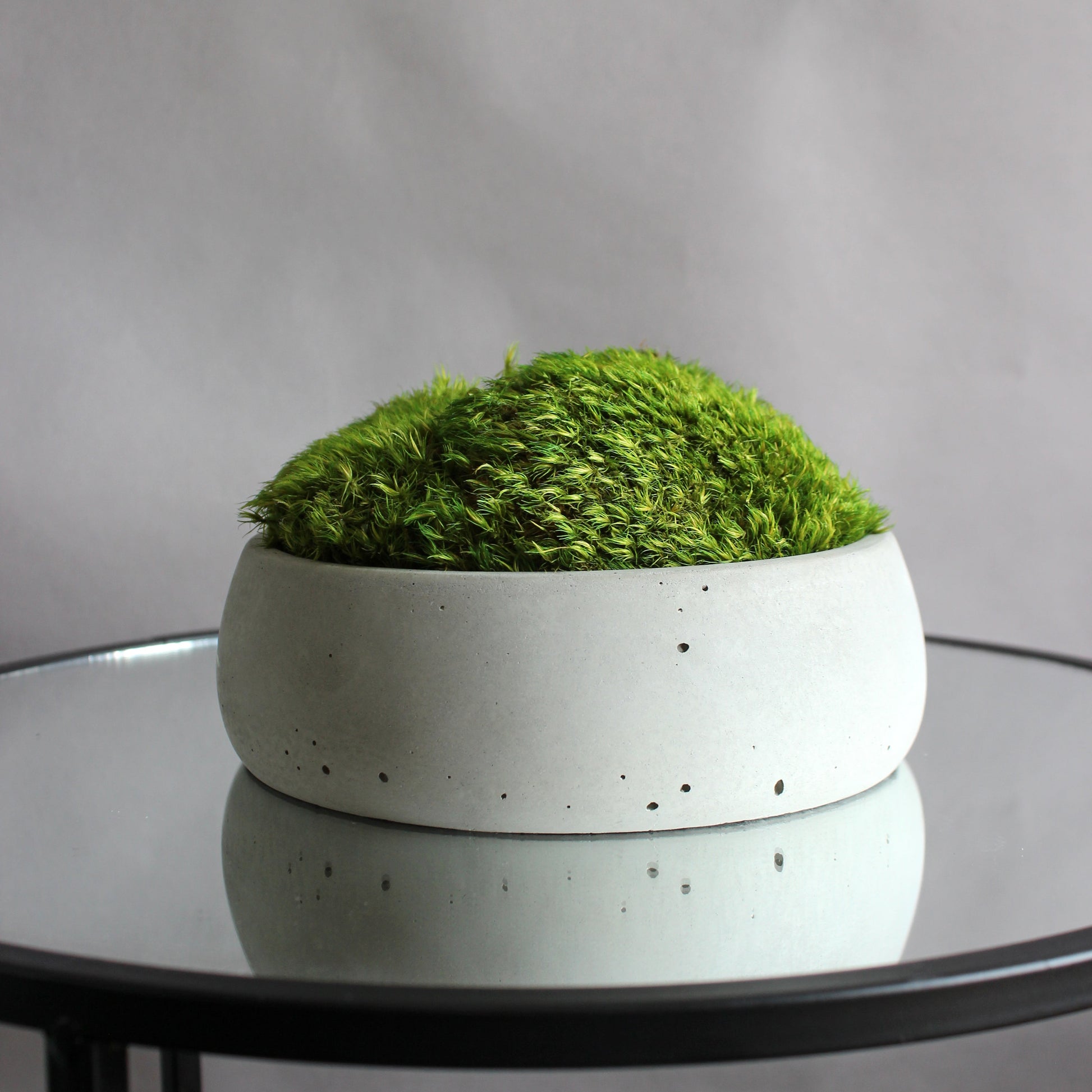 Preserved mood moss in a decorative concrete pot, natural indoor greenery decor for coffee tables, shelves and modern interiors.