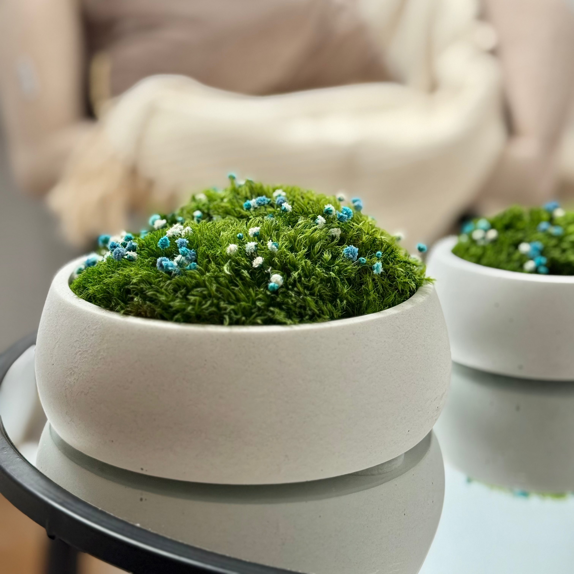 Preserved moss bowl with blue and white gypsophila flowers, natural indoor greenery decor for shelf or table styling.