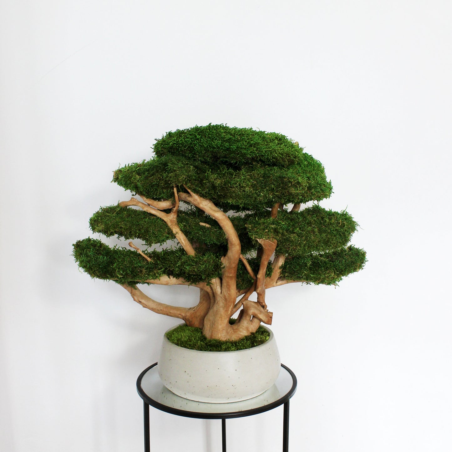 Extra large preserved moss bonsai tree in a concrete pot, statement green home decor, maintenance free indoor plant alternative, zen inspired centerpiece for modern living room, office or entryway.