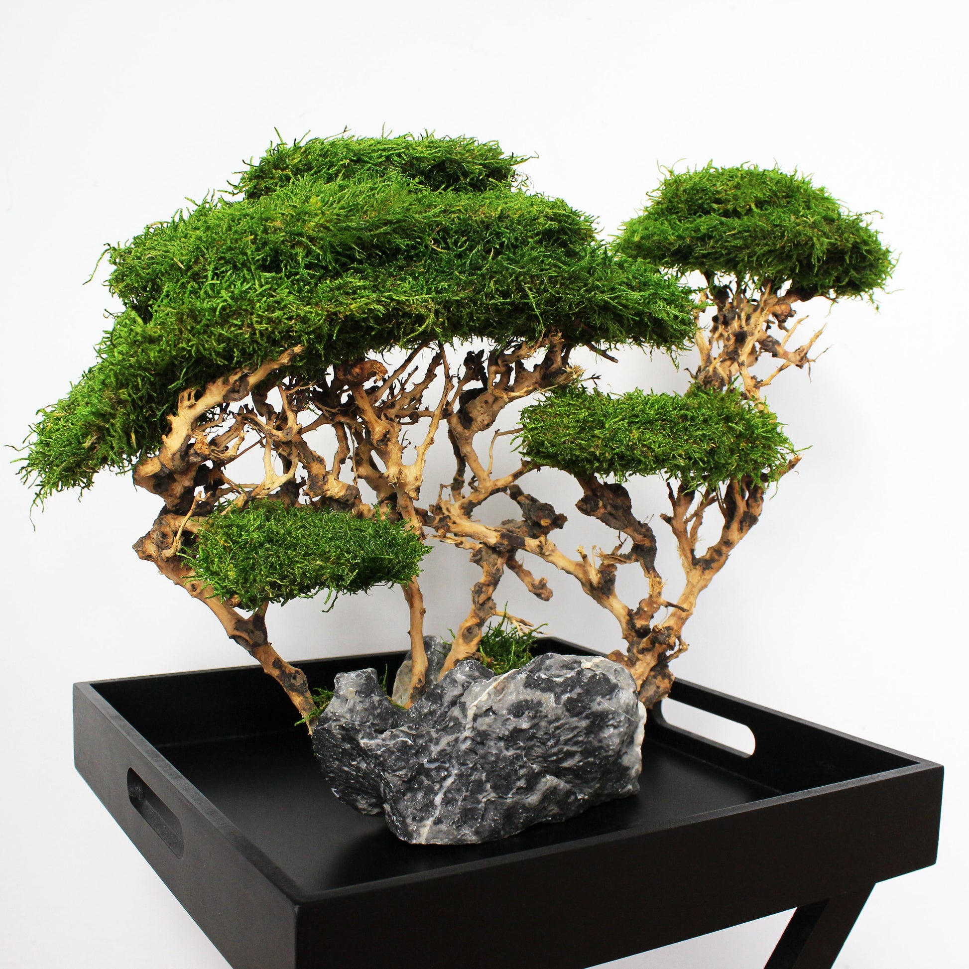OOAK preserved bonsai on natural stone with real stabilized moss. Sculptural nature-inspired decor piece for shelf, coffee table or office, created as a one-of-a-kind composition.