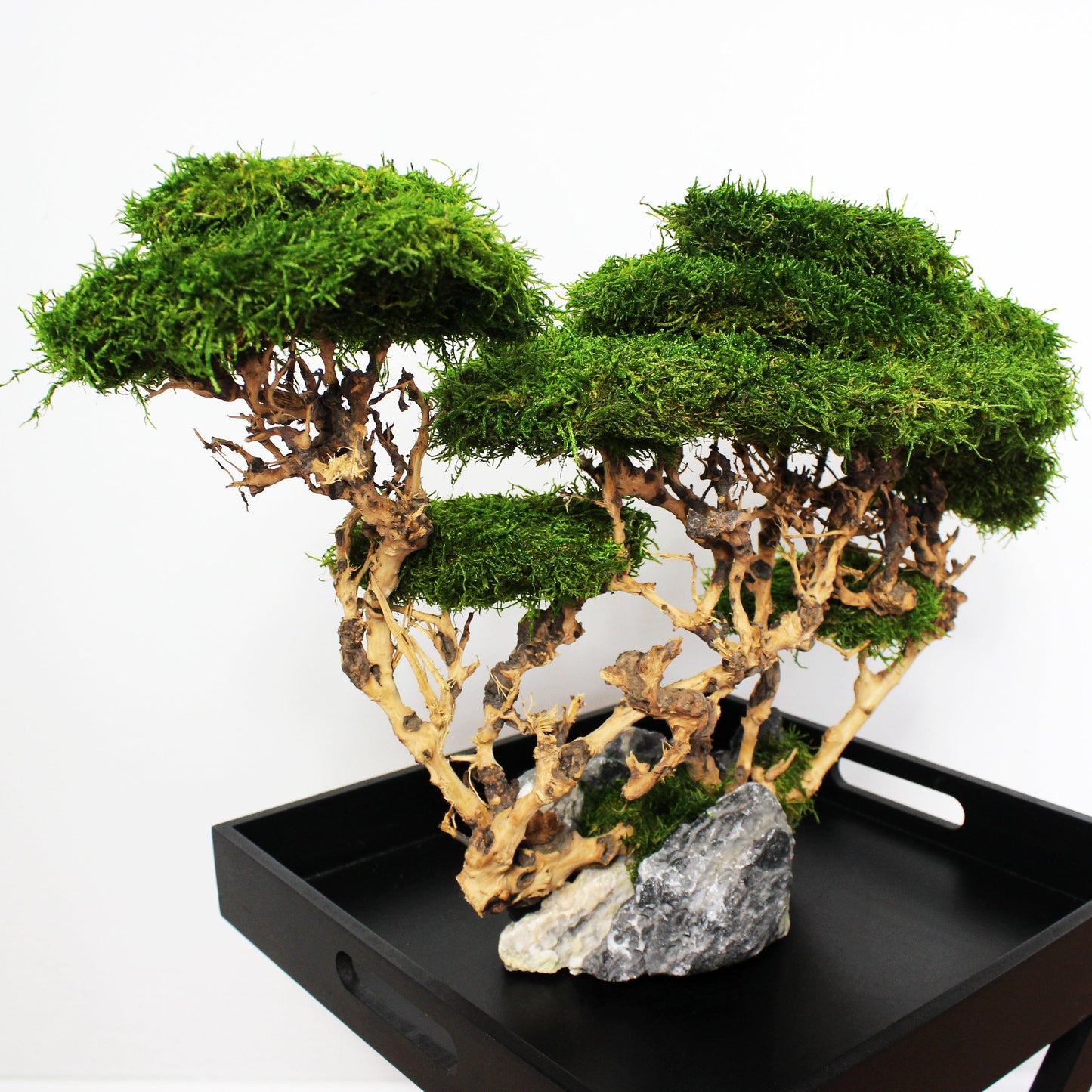 OOAK preserved bonsai on natural stone with real stabilized moss. Sculptural nature-inspired decor piece for shelf, coffee table or office, created as a one-of-a-kind composition.