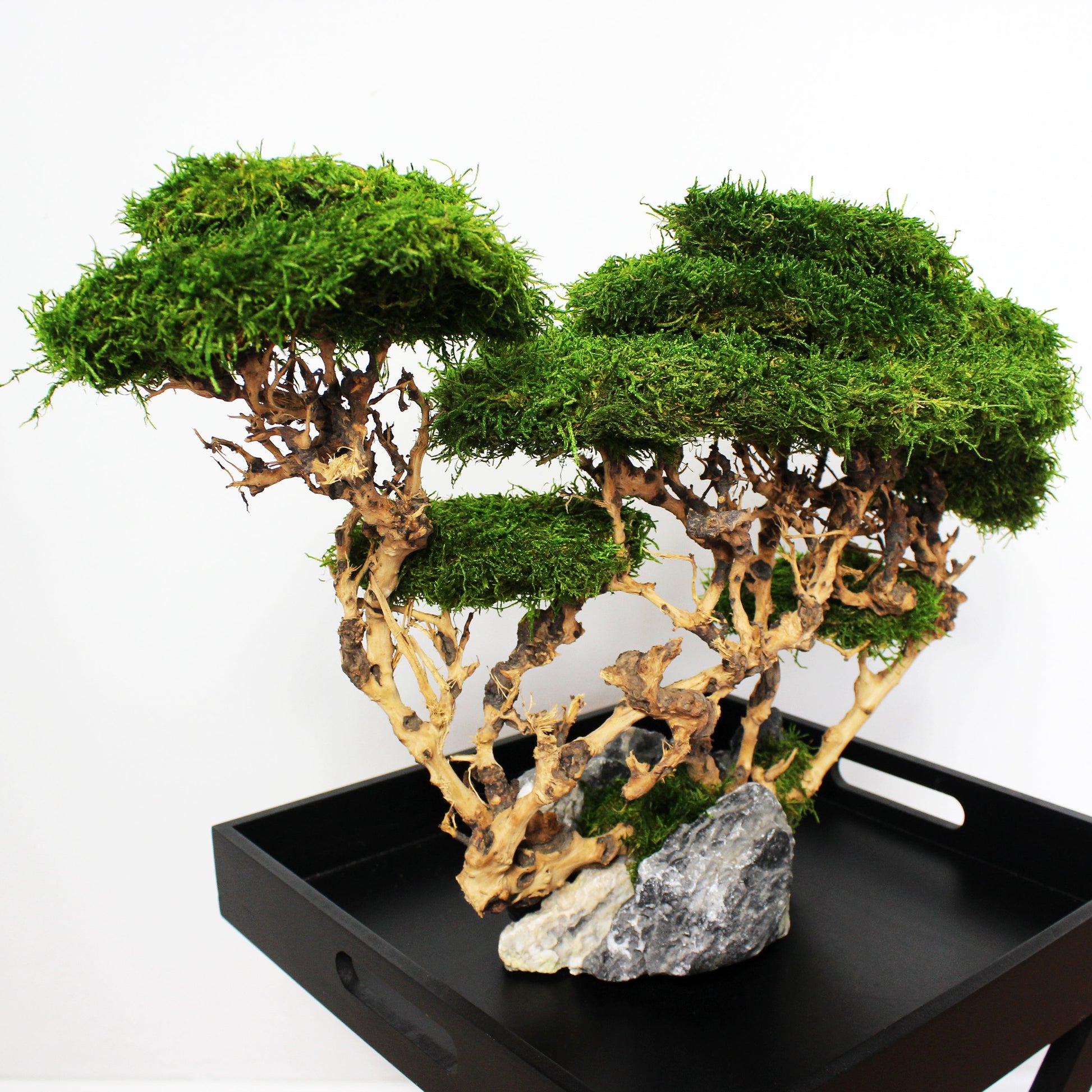 OOAK preserved bonsai on natural stone with real stabilized moss. Sculptural nature-inspired decor piece for shelf, coffee table or office, created as a one-of-a-kind composition.