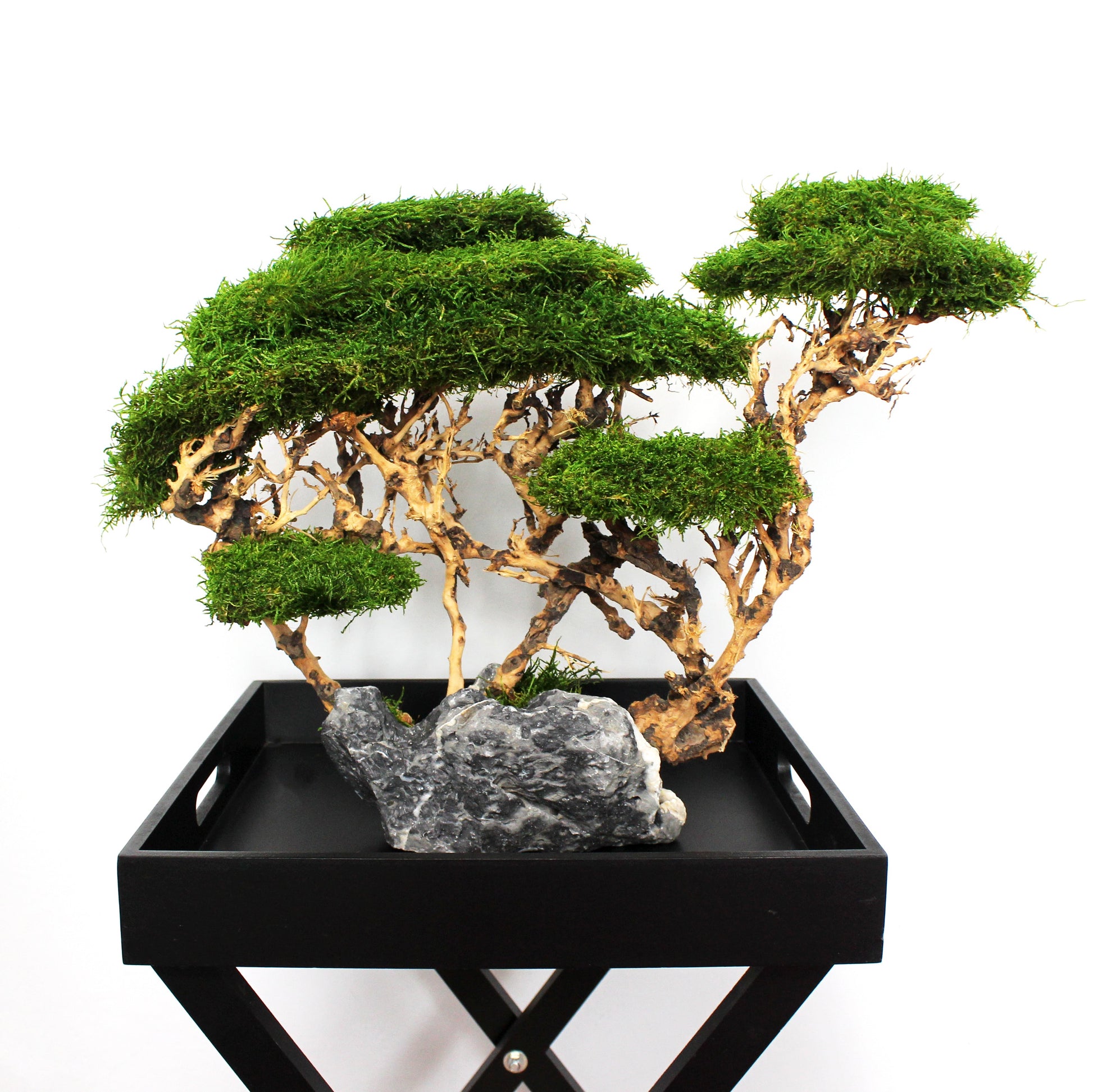 OOAK preserved bonsai on natural stone with real stabilized moss. Sculptural nature-inspired decor piece for shelf, coffee table or office, created as a one-of-a-kind composition.