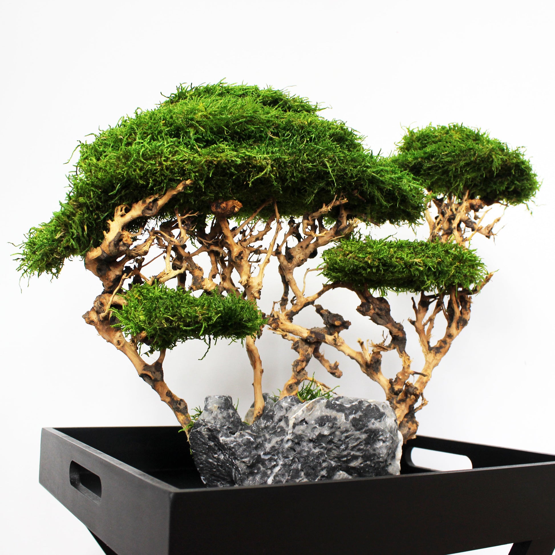 OOAK preserved bonsai on natural stone with real stabilized moss. Sculptural nature-inspired decor piece for shelf, coffee table or office, created as a one-of-a-kind composition.