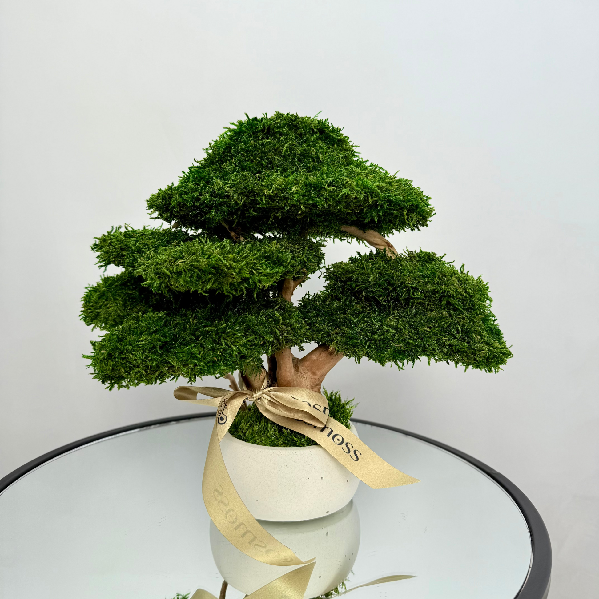 Preserved moss bonsai tree with layered canopy and natural wood trunk in a white concrete planter.