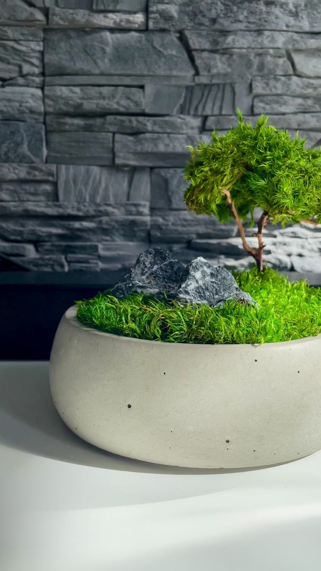 Mini zen garden with preserved moss bonsai and decorative stones in concrete pot; tabletop arrangement.