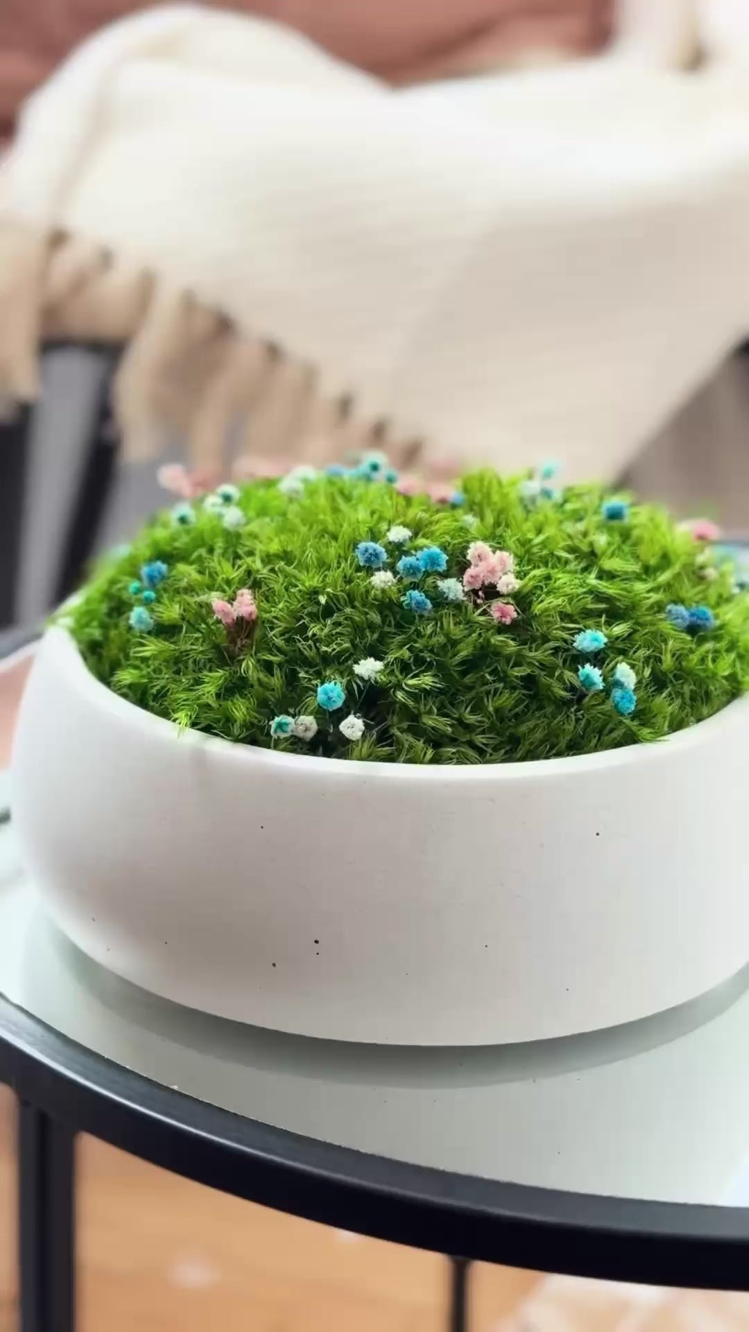 Preserved moss bowl with delicate gypsophila flowers, natural indoor greenery decor for shelf or table styling.