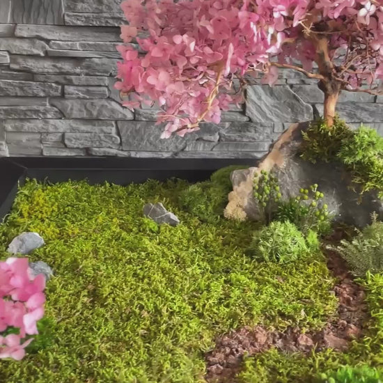 Zen garden with Sakura 