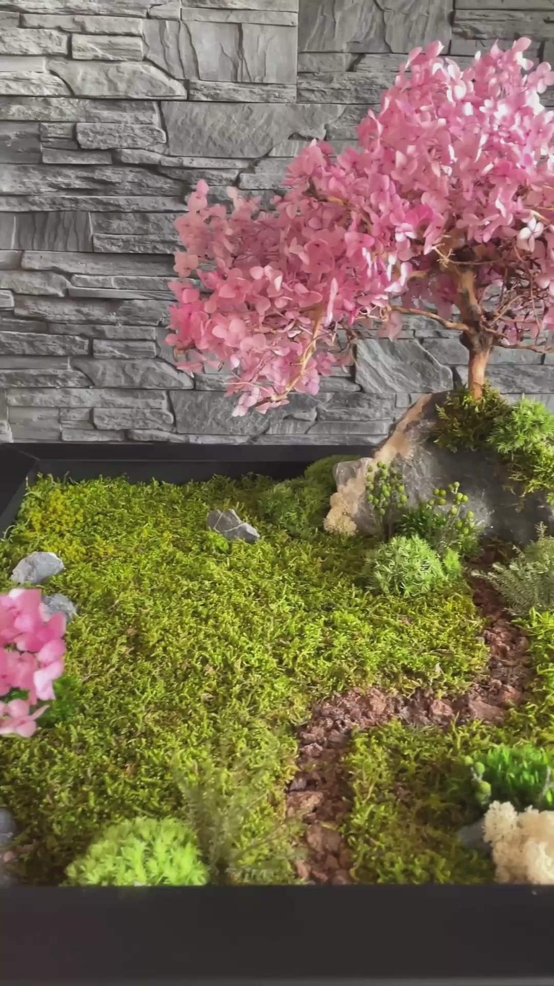 Zen garden with Sakura 