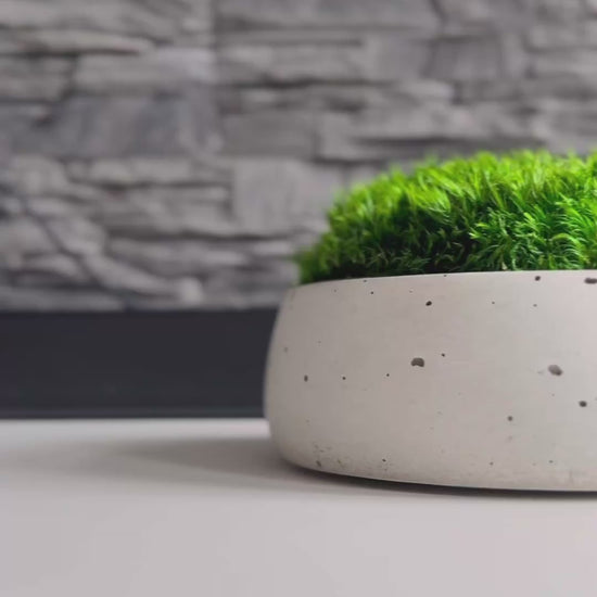 Preserved moss bowls