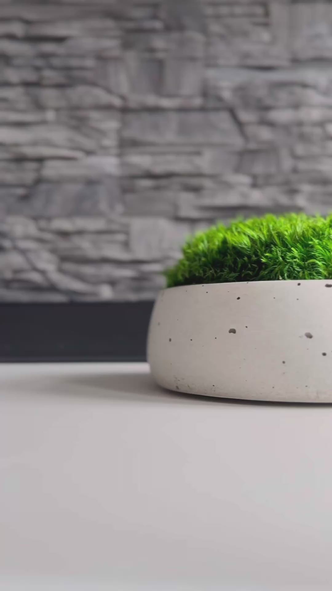 Preserved moss bowls