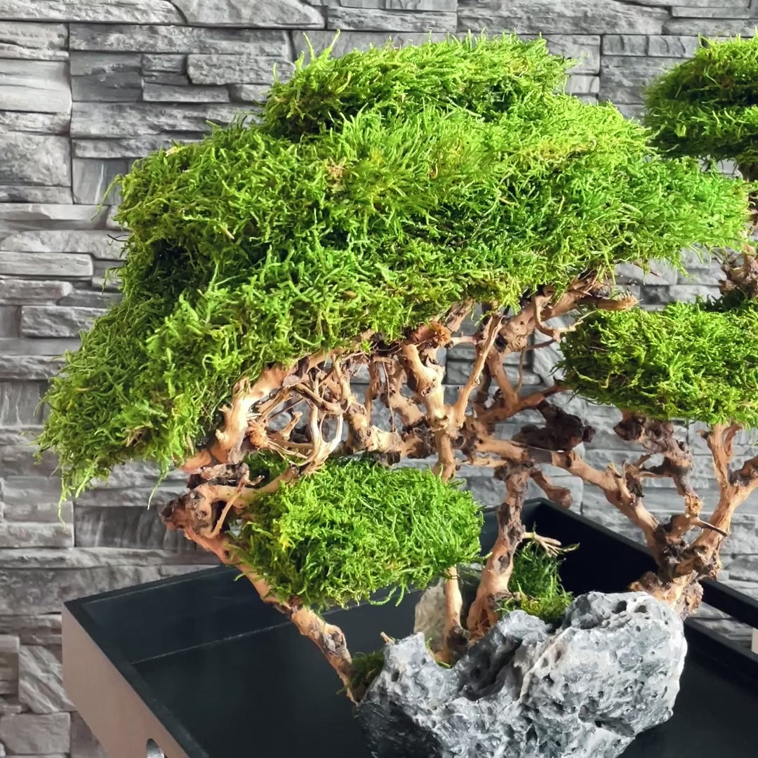 OOAK preserved bonsai on natural stone with real stabilized moss. Sculptural nature-inspired decor piece for shelf, coffee table or office, created as a one-of-a-kind composition.