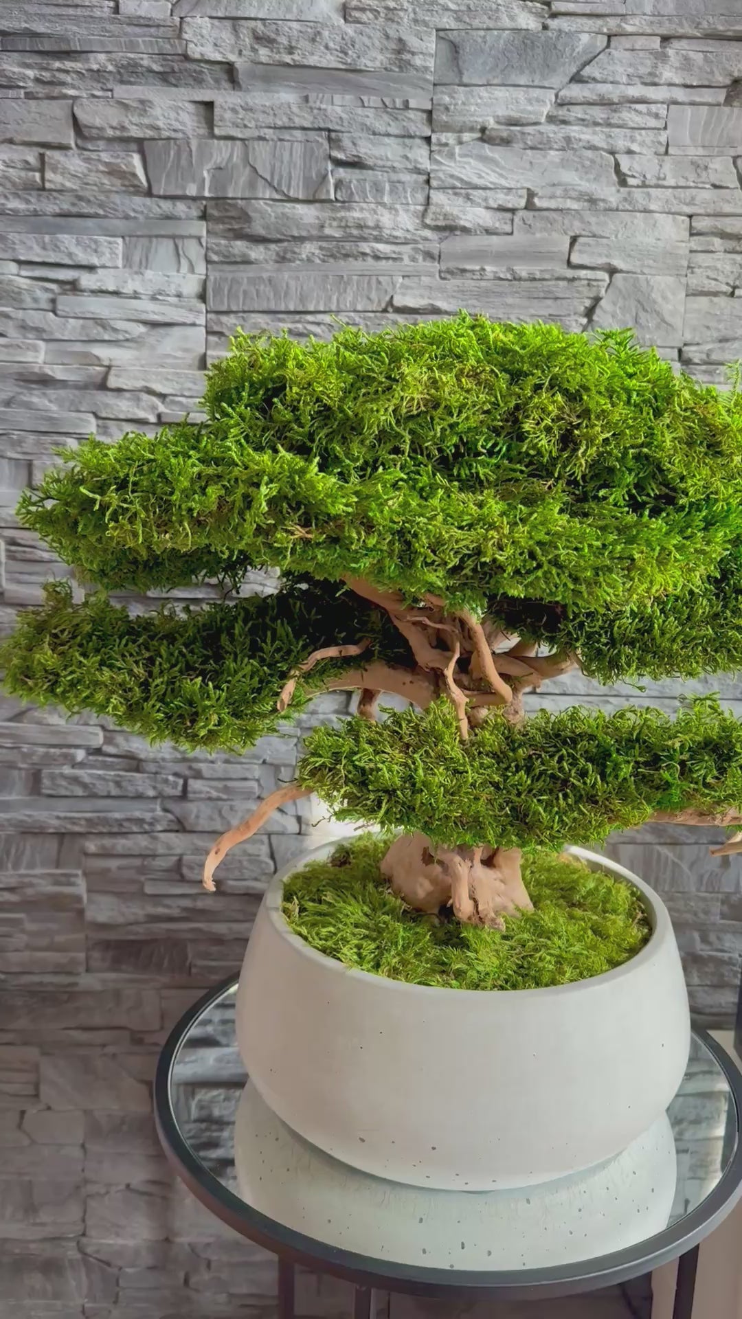 Large preserved moss bonsai tree in a concrete pot, natural green home decor, maintenance free indoor plant alternative, zen style decoration for living room or office.