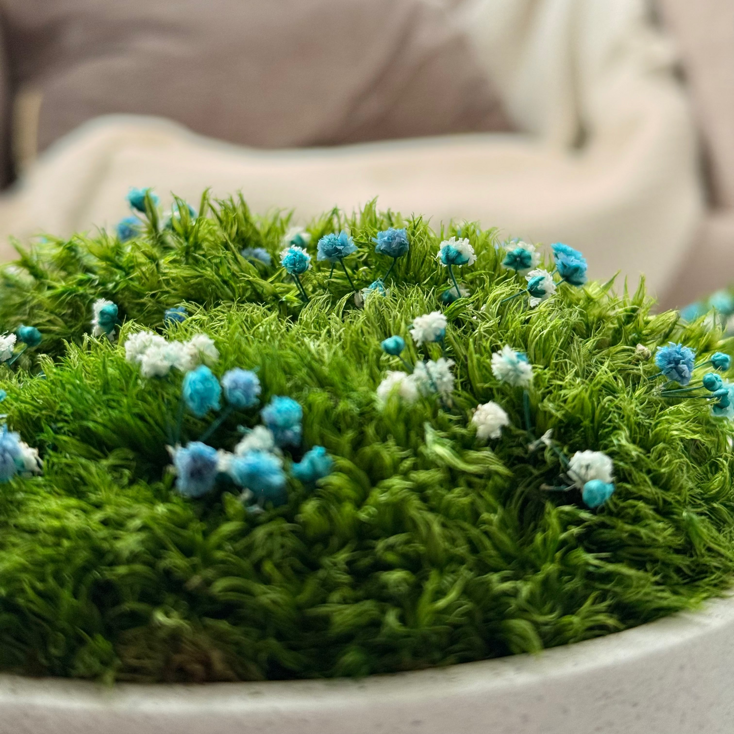 Preserved moss bowl with blue and white gypsophila flowers, natural indoor greenery decor for shelf or table styling.